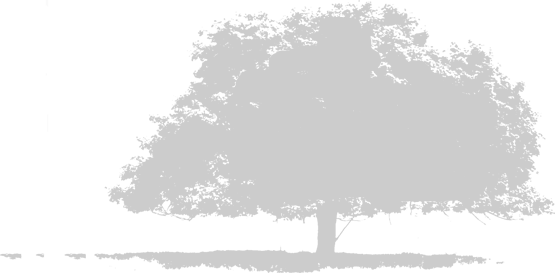 Serwisy projektowanie realizacja